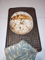 IMG_20250825_134933597~2.jpg