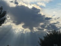 IMG_6887.jpeg
