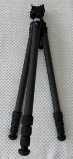 IMG_5795.jpeg