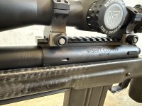 IMG_0743.jpeg