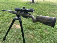 IMG_1569.jpeg