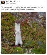 IMG_6890.jpeg