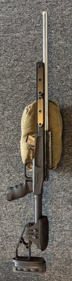 IMG_3623.jpeg