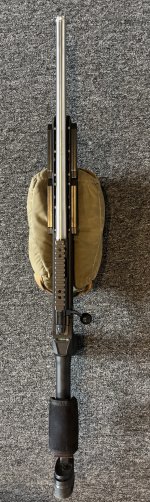 IMG_3624.jpeg