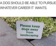 IMG_0804.jpeg