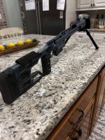 IMG_7953.jpeg