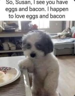 IMG_1234.jpeg