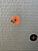 IMG_3937.jpeg