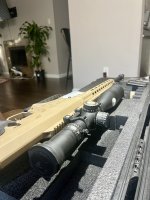 IMG_2893.jpeg