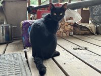 IMG_3774.jpeg