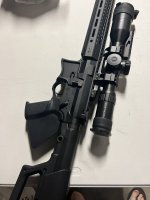 IMG_1367.jpeg