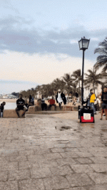 daily_gifdump-12-9.gif