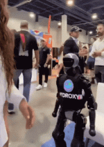 daily_gifdump-36-9.gif