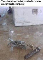 IMG_2644.jpeg