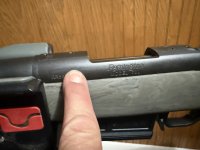 IMG_2466.jpeg