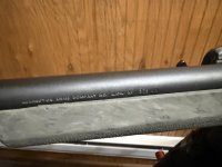 IMG_2467.jpeg