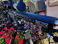 IMG_4103.jpeg