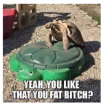 Image-1.png