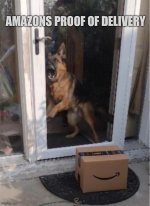 IMG_1265.jpeg