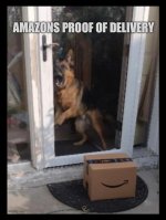 IMG_0932.jpeg
