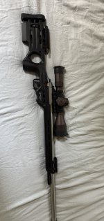 IMG_2540.jpeg