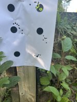 IMG_1636.jpeg