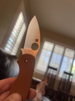 IMG_8504.jpeg