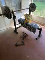 IMG_1534.jpeg
