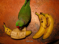 1756692066578.png
