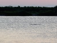 IMG_4586.jpeg