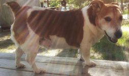 20170502_172556-02.jpeg
