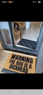 IMG_6895.jpeg