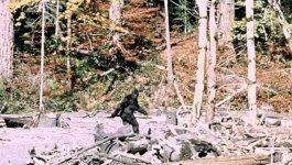 IMG_1026.jpeg