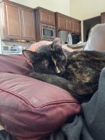 IMG_5694.jpeg