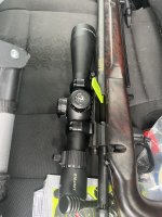 IMG_5252.jpeg