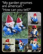 IMG_1431.jpeg