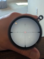 PXL_20250903_162614655.MP.jpg
