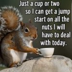 IMG_6908.jpeg