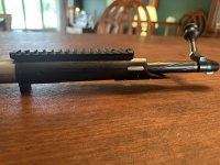 IMG_4739.jpeg