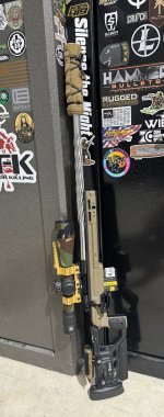 IMG_2256.jpeg