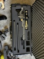 IMG_7144.JPEG