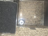 20250830_170531.jpg