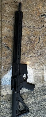 IMG_7915.JPEG