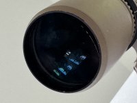 IMG_8205.jpeg