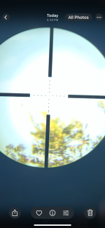 snb6.PNG