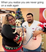 1757159134548.png