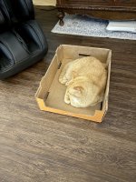 IMG_5620.jpeg