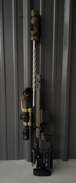 IMG_2281.jpeg