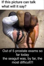 1757332003187.png