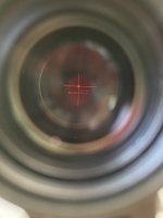 IMG_6434.jpeg